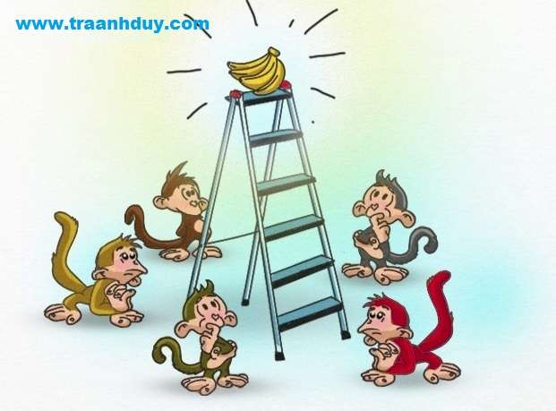 5 con khỉ và 1 nải chuối: Bài học về những nhà lãnh đạo ‘vùi dập’ và nhân viên ‘mù quáng’