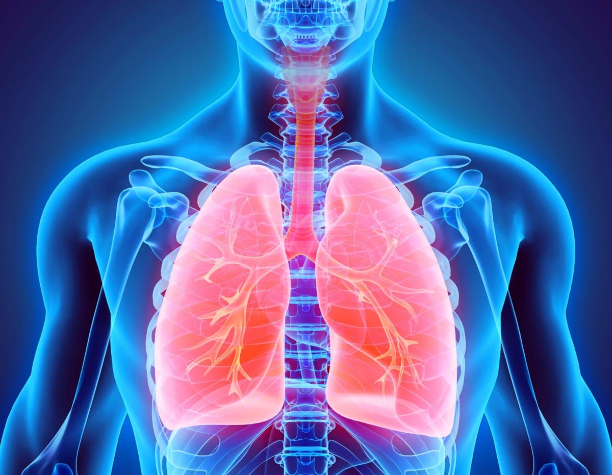 Chapter 7 – Respiratory System