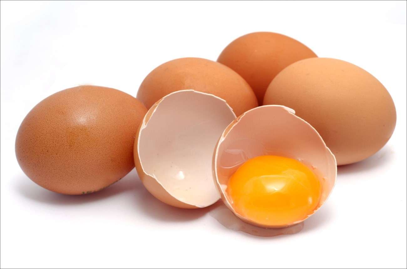 Trứng thường được sử dụng làm nguồn thức ăn cung cấp protein cho người.