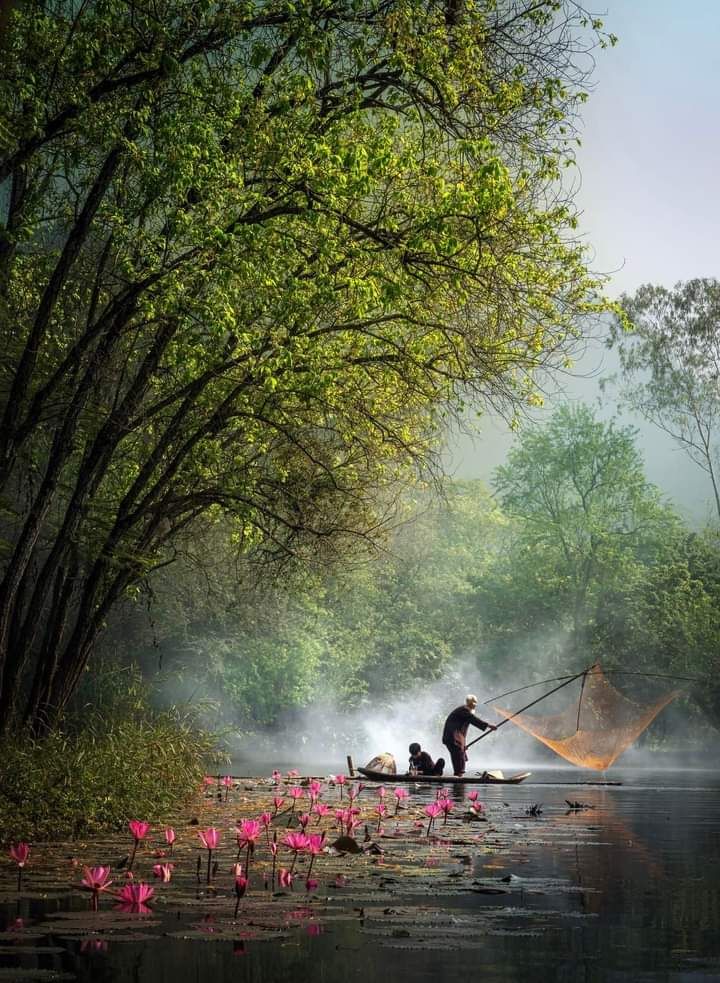 Chúng Ta Không Thể Tìm Thấy Phật Pháp Trong Kinh Sách