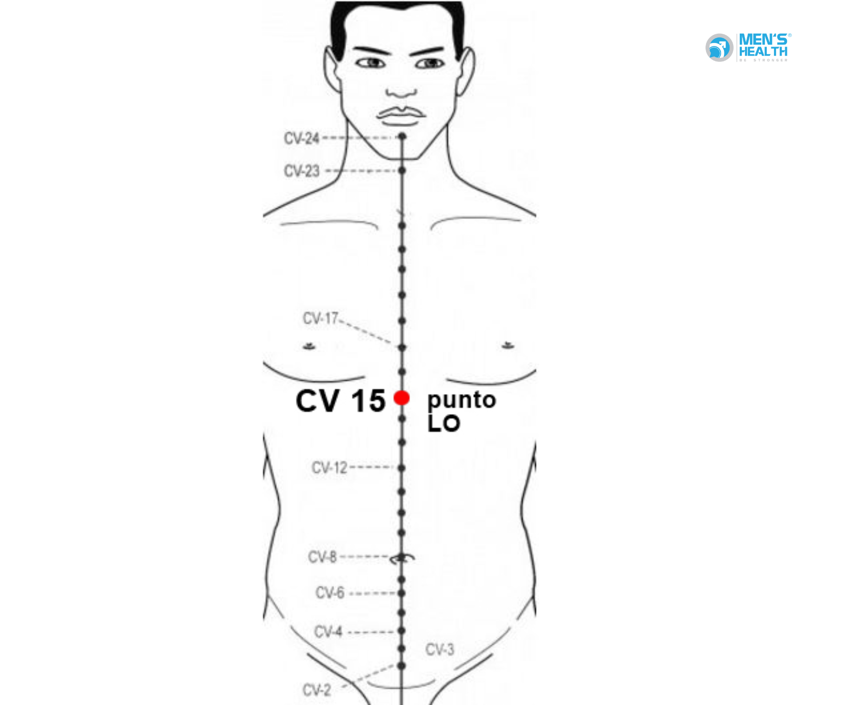 Mạch Nhâm Trong Hệ Thống Kinh Lạc Của Y Học Cổ Truyền