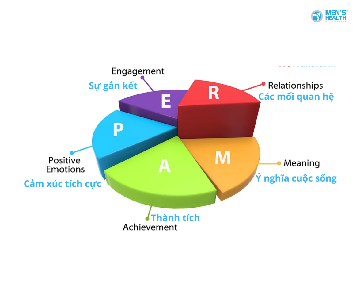 Mô Hình PERMA Trong Tâm Lý Học Tích Cực