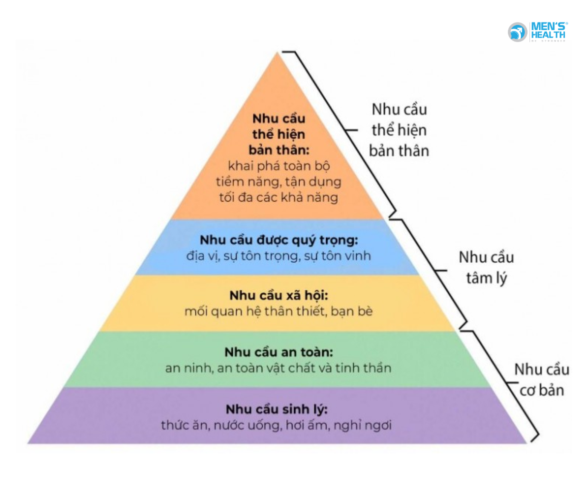 Thuyết Nhu Cầu Của Maslow: Ứng Dụng Và Ý Nghĩa Trong Hành Vi Tổ Chức