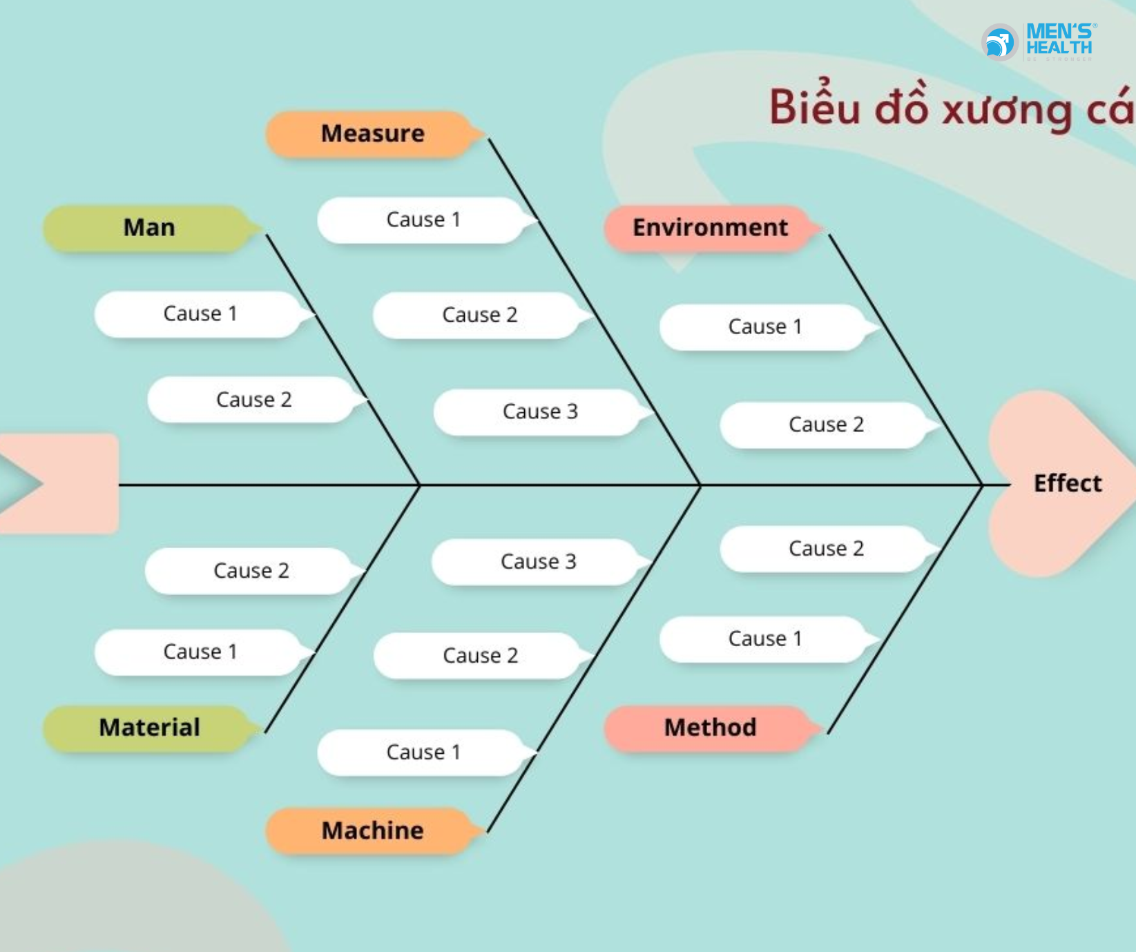 Biểu Đồ Ishikawa (Xương cá) – Công Cụ Đắc Lực Trong Phân Tích Và Giải Quyết Vấn Đề