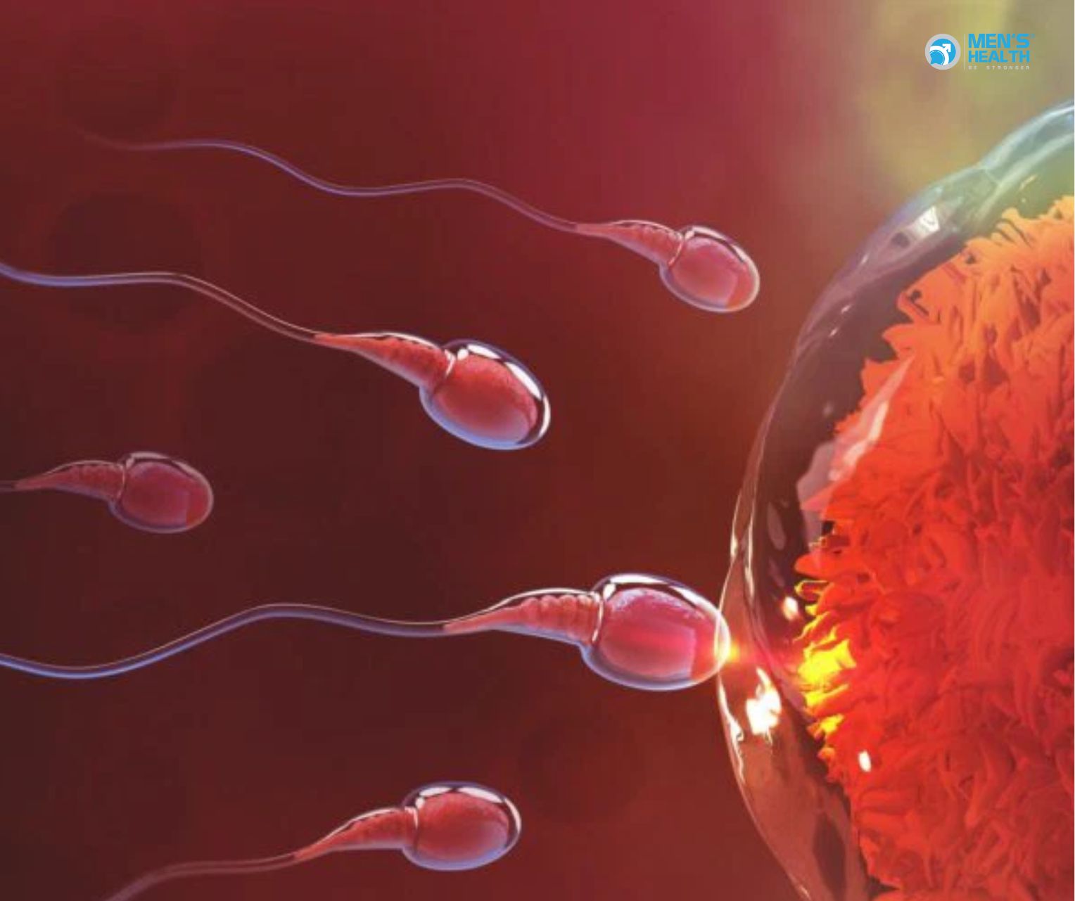 Tinh Dịch Có Dây Máu: Dấu Hiệu Lâm Sàng Đừng Xem Thường