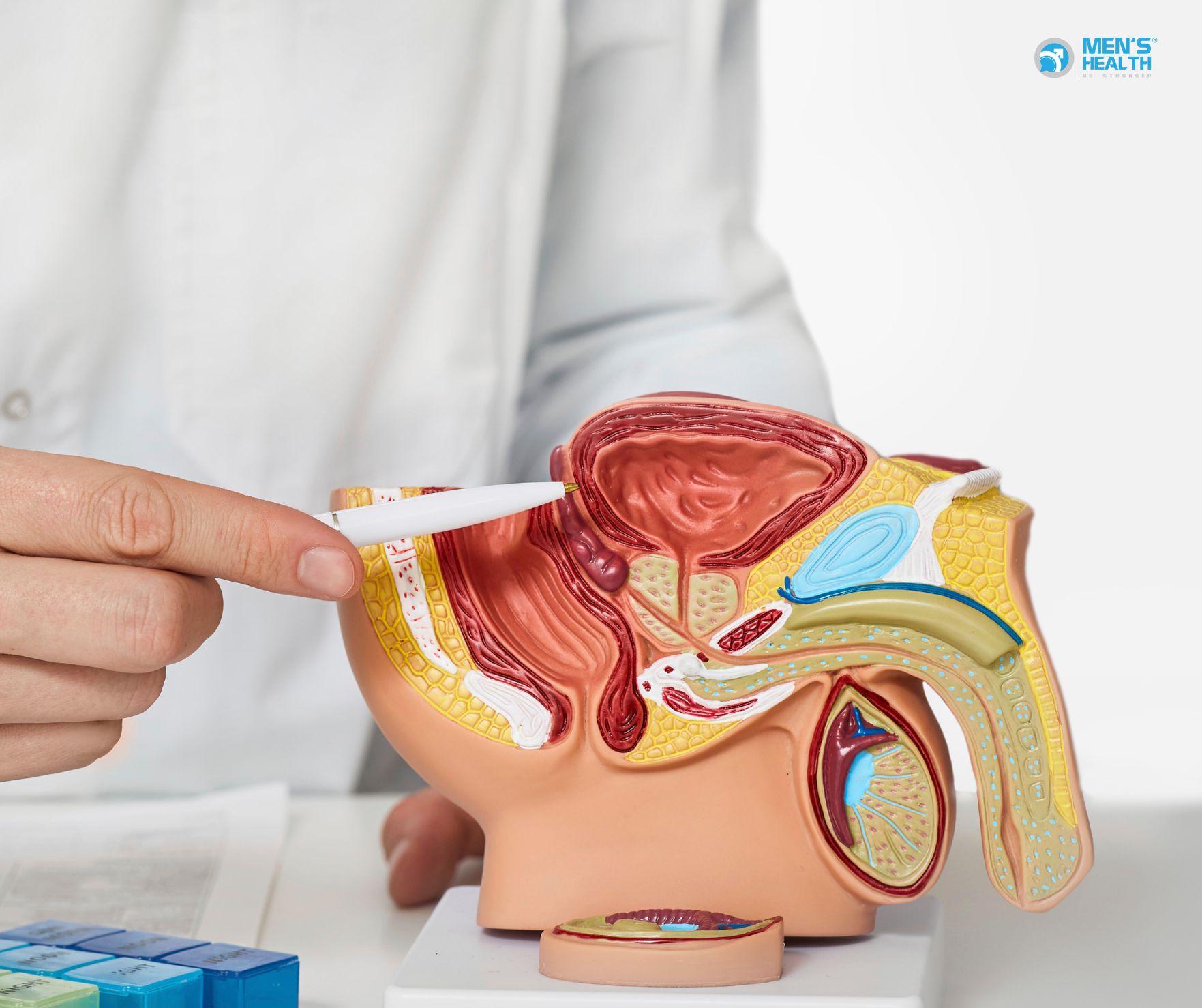 Phân Biệt Viêm Tuyến Tiền Liệt Cấp Và Mạn Tính (Acute Vs Chronic Prostatitis)