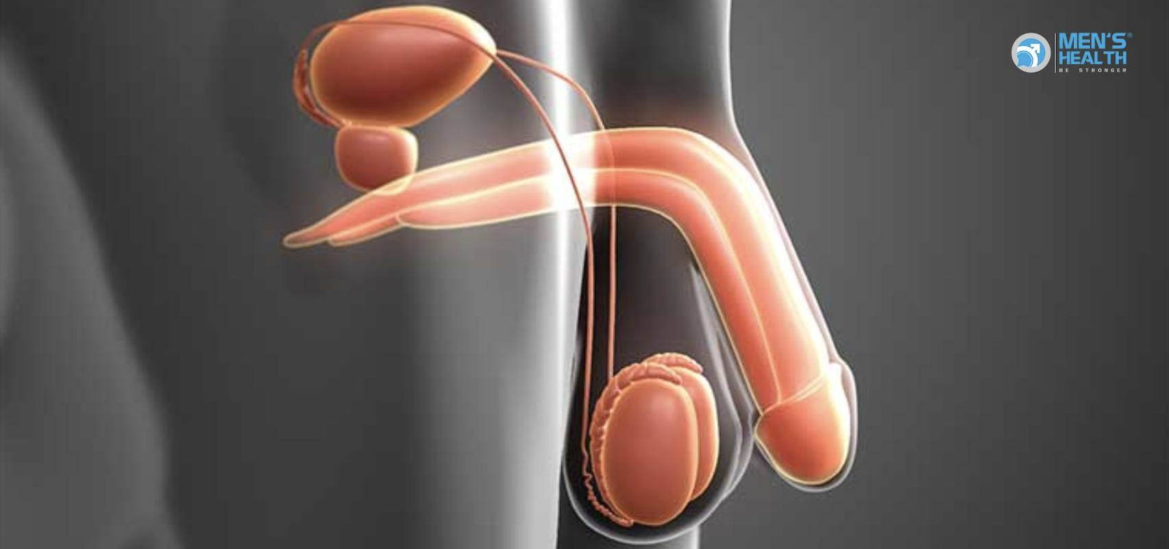 Thiểu Năng Tinh Hoàn (Testicular Hypofunction – E29.1)