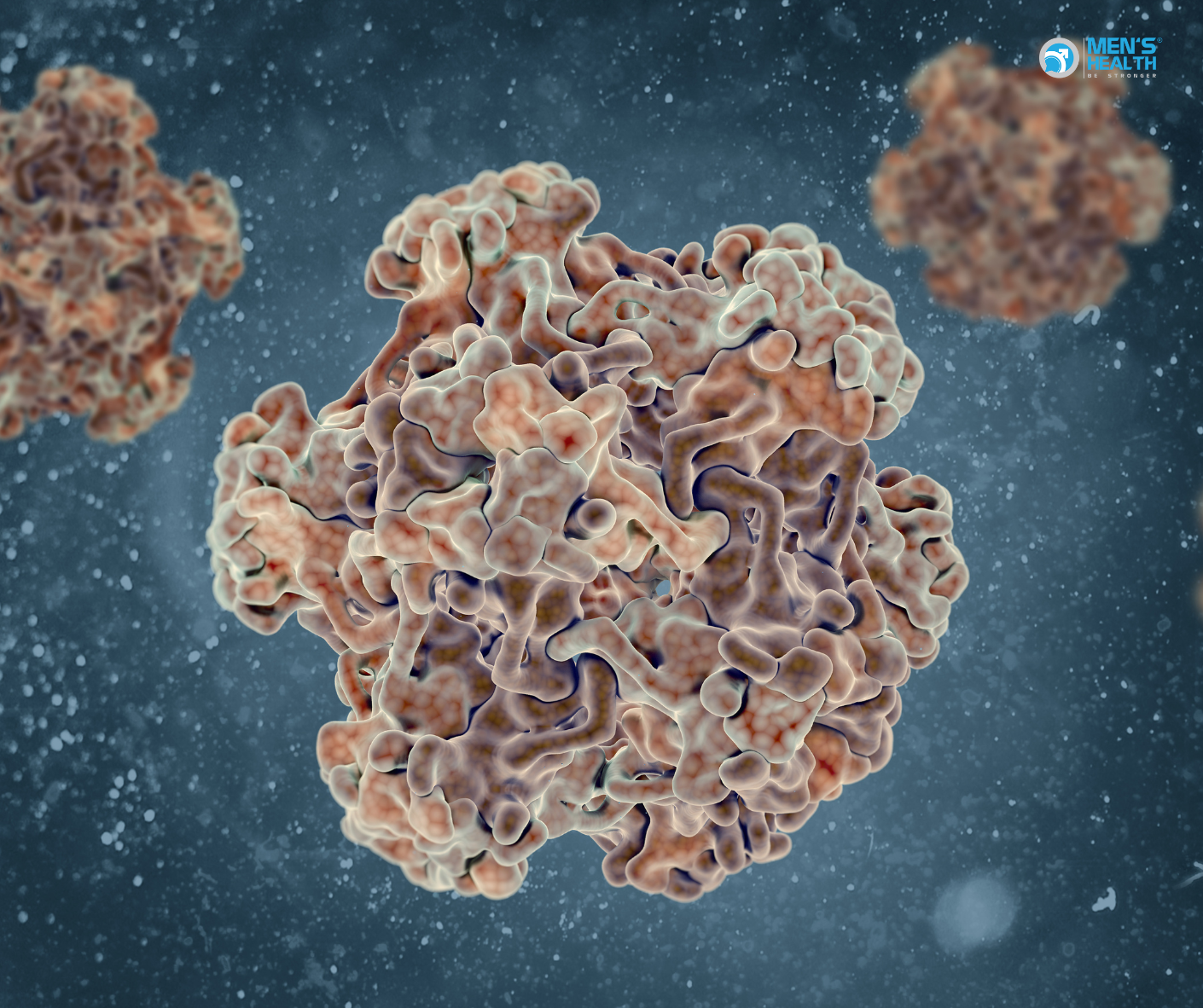 Virus Gây U Nhú Ở Người Và Vô Sinh Nam