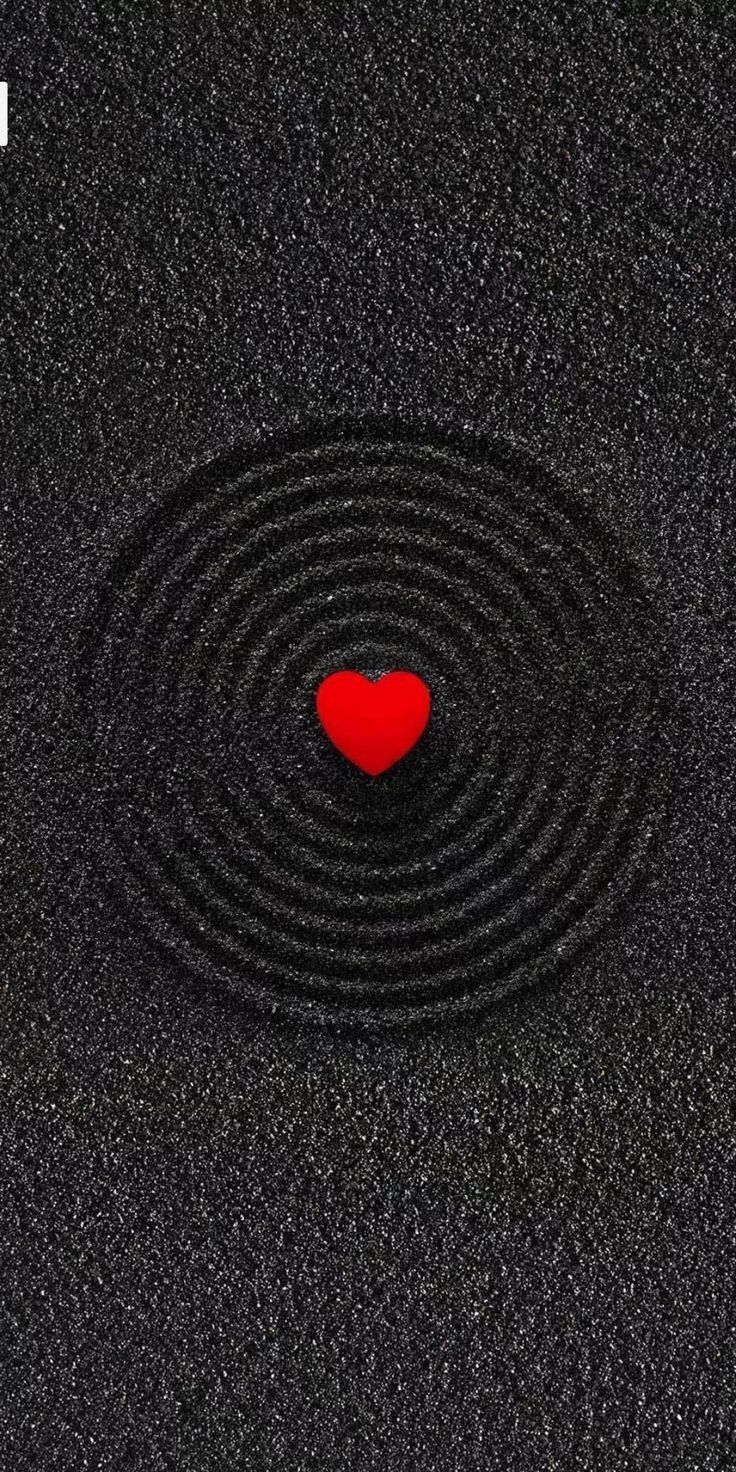 Một Cái Trí Và Một Trái Tim